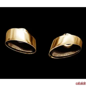 IPE SS IPE SS Gold Tips Audi RS3 Sportback | Sedan 2015-2021